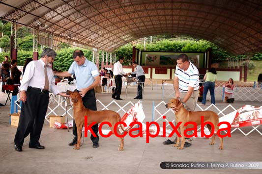 Clique sobre a foto para fechar